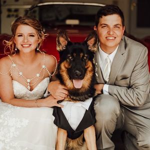 Meet your Posher, Joey